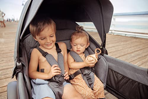 4-Seater All-Terrain Stroller Wagon with Canopy & Storage Basket Bundle