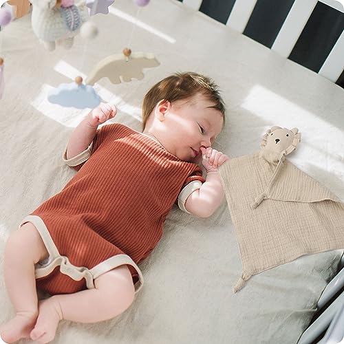 2-Pack Organic Cotton Arms-Up Swaddle Sleep Sacks with Security Blanket